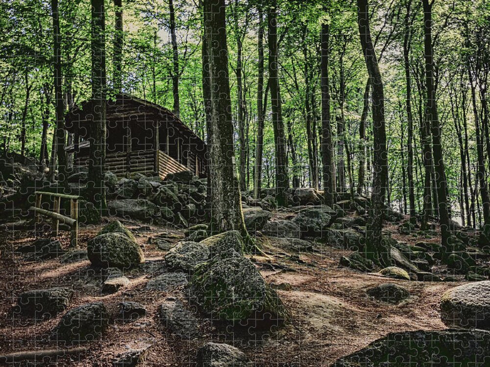 Photography Jigsaw Puzzle featuring the photograph House in the Forest by Marc Braner