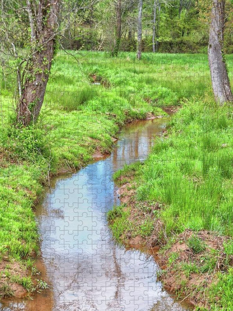 Reedy River Jigsaw Puzzle featuring the photograph Humble Beginnings of The Reedy River by Blaine Owens