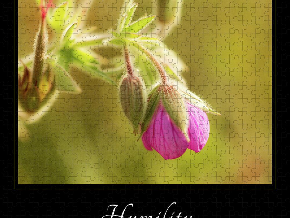 Inspiration Jigsaw Puzzle featuring the photograph Humility 3 by Mary Jo Allen