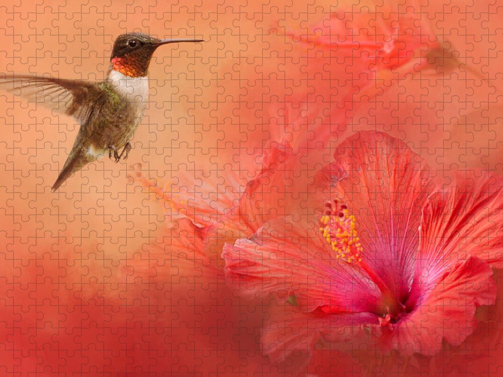 Jai Johnson Jigsaw Puzzle featuring the photograph Hummingbird and Peach Hibiscus by Jai Johnson