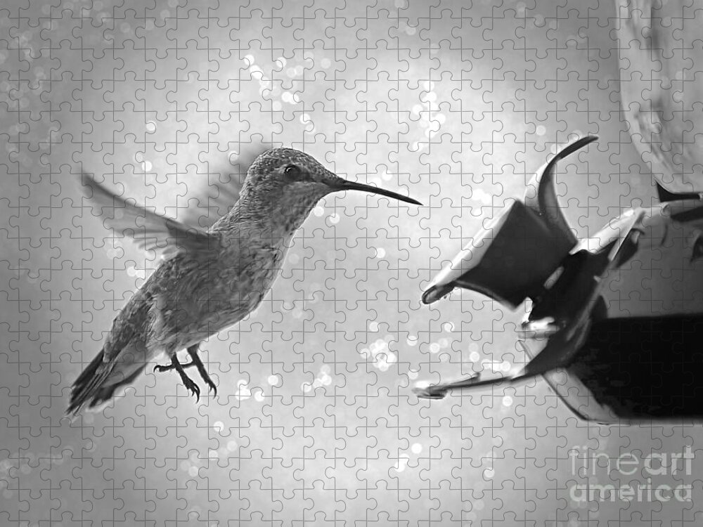 Hummingbird Jigsaw Puzzle featuring the photograph Hummingbird Magic - Black and White by Carol Groenen
