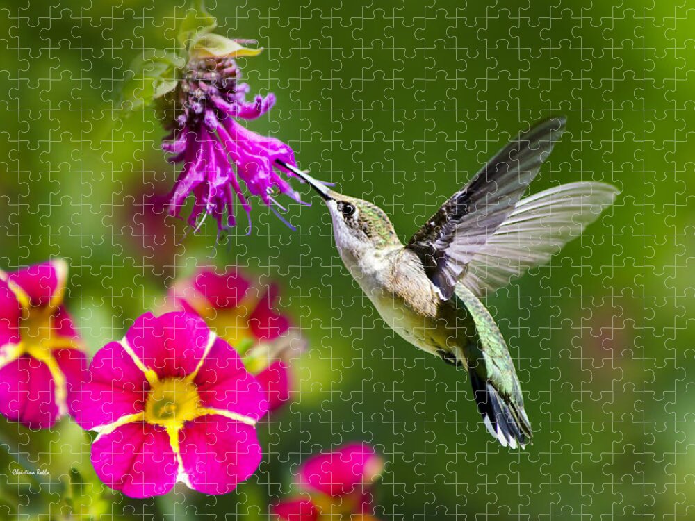 Hummingbird Jigsaw Puzzle featuring the photograph Hummingbird with Flower by Christina Rollo