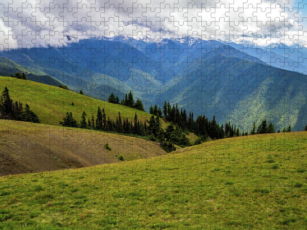 Adventure Jigsaw Puzzle featuring the photograph Hurricane Ridge Green Fields and Blue Mountains by Roslyn Wilkins