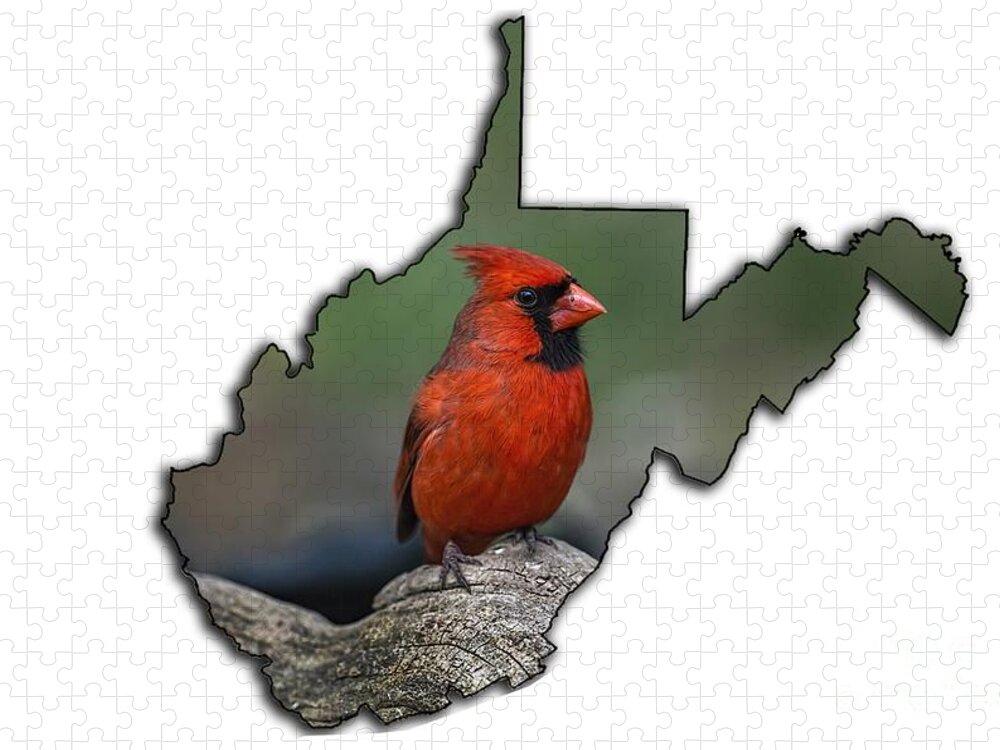 Bird; Cardinal; Male; Red; Nature Jigsaw Puzzle featuring the photograph I am pretty by Dan Friend