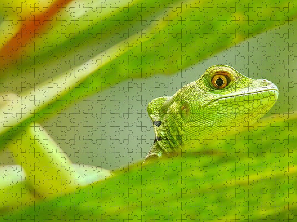 Lizard Jigsaw Puzzle featuring the photograph I see you by ByetPhotography