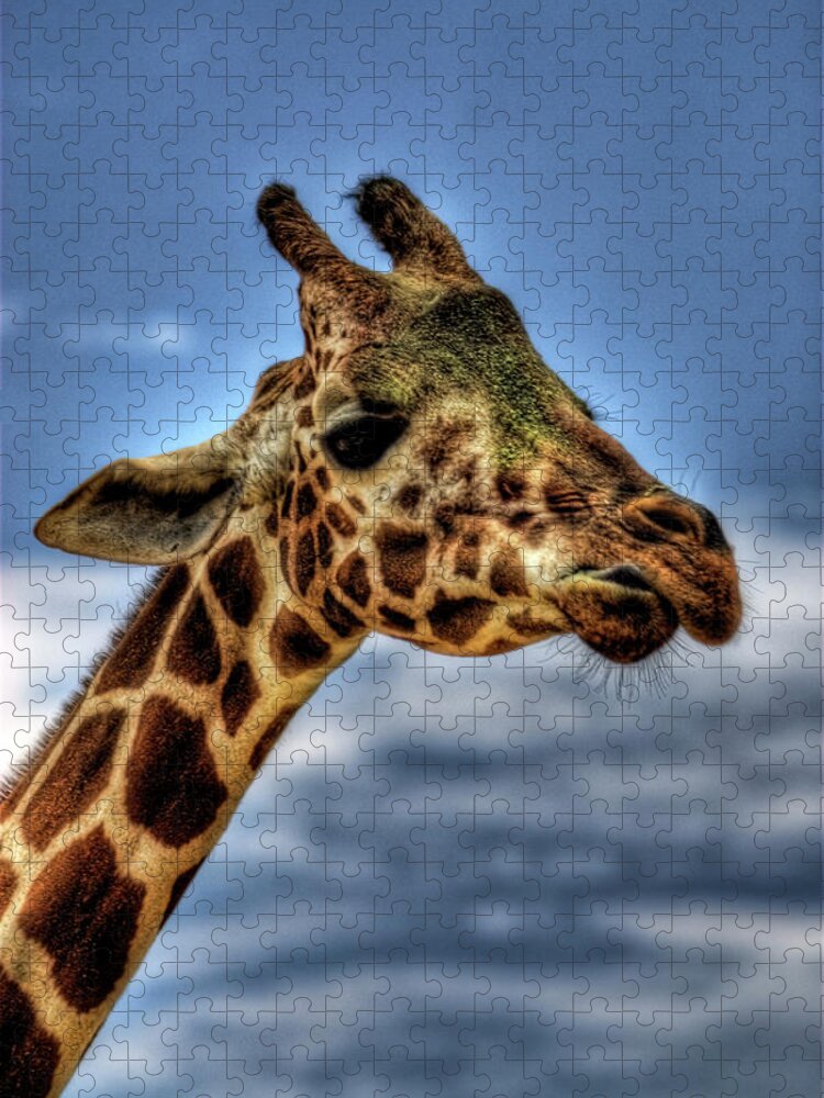 Giraffe Jigsaw Puzzle featuring the photograph I See You by Saija Lehtonen