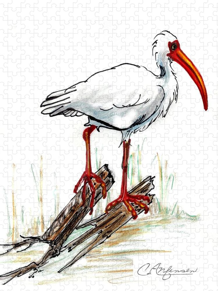 Ibis Jigsaw Puzzle featuring the drawing Ibis on a perch by Carol Allen Anfinsen