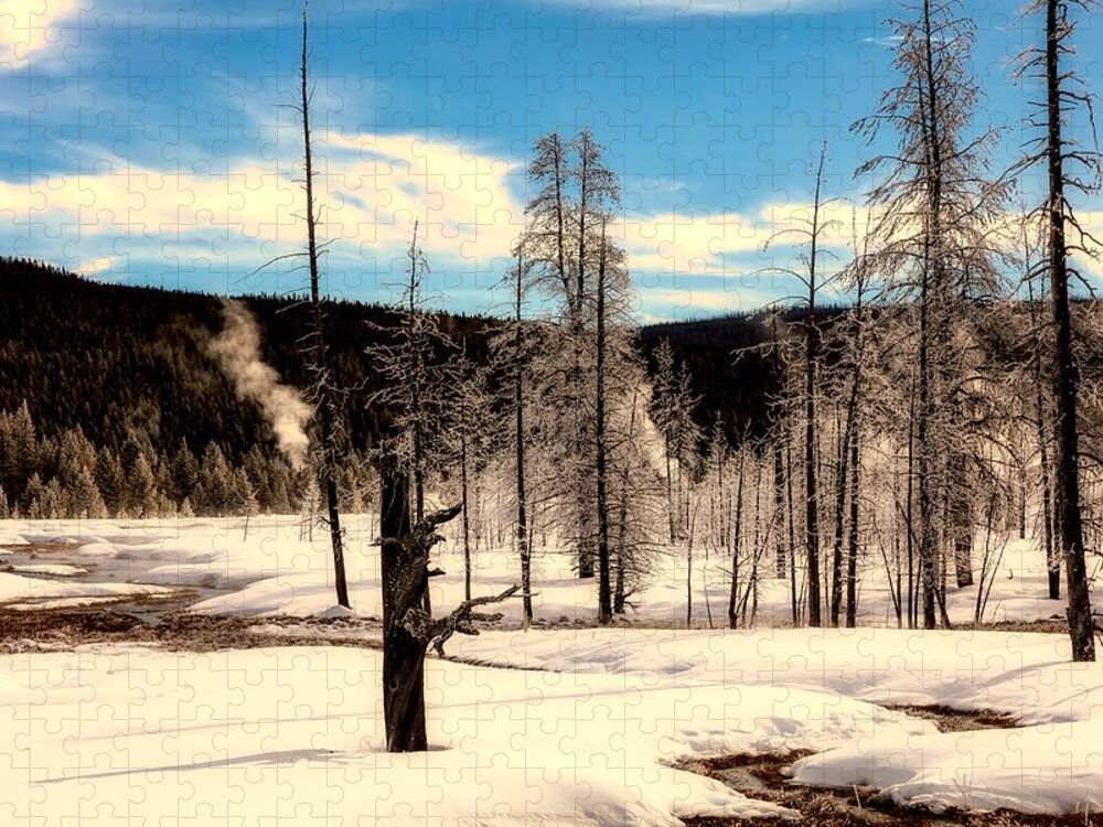 Yellowstone Jigsaw Puzzle featuring the photograph Ice Covered Trees In Yellowstone by Mountain Dreams