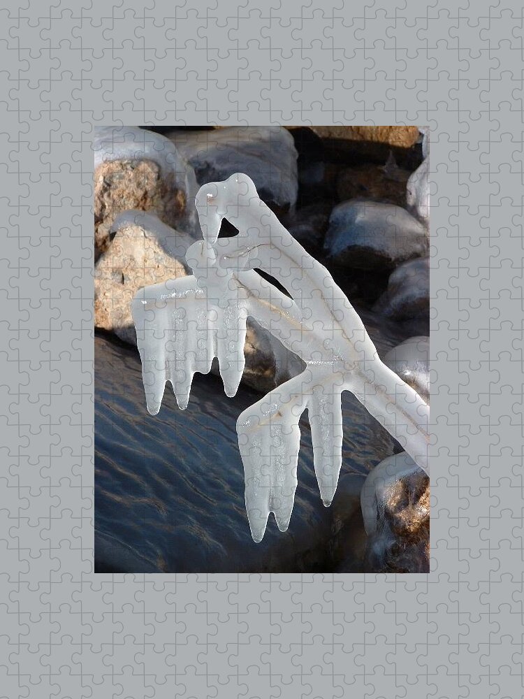 Ice Jigsaw Puzzle featuring the photograph Ice Sculpture by Annekathrin Hansen