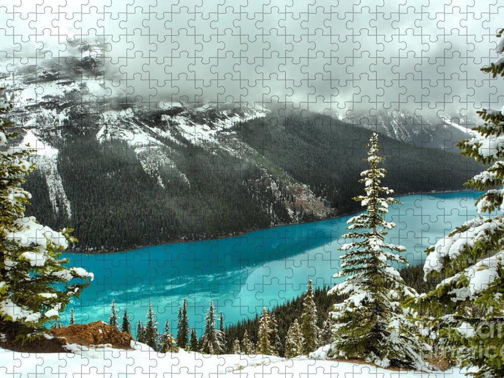 Peyto Lake Fog Jigsaw Puzzle featuring the photograph Icy Blue Reflections Through The Trees by Adam Jewell