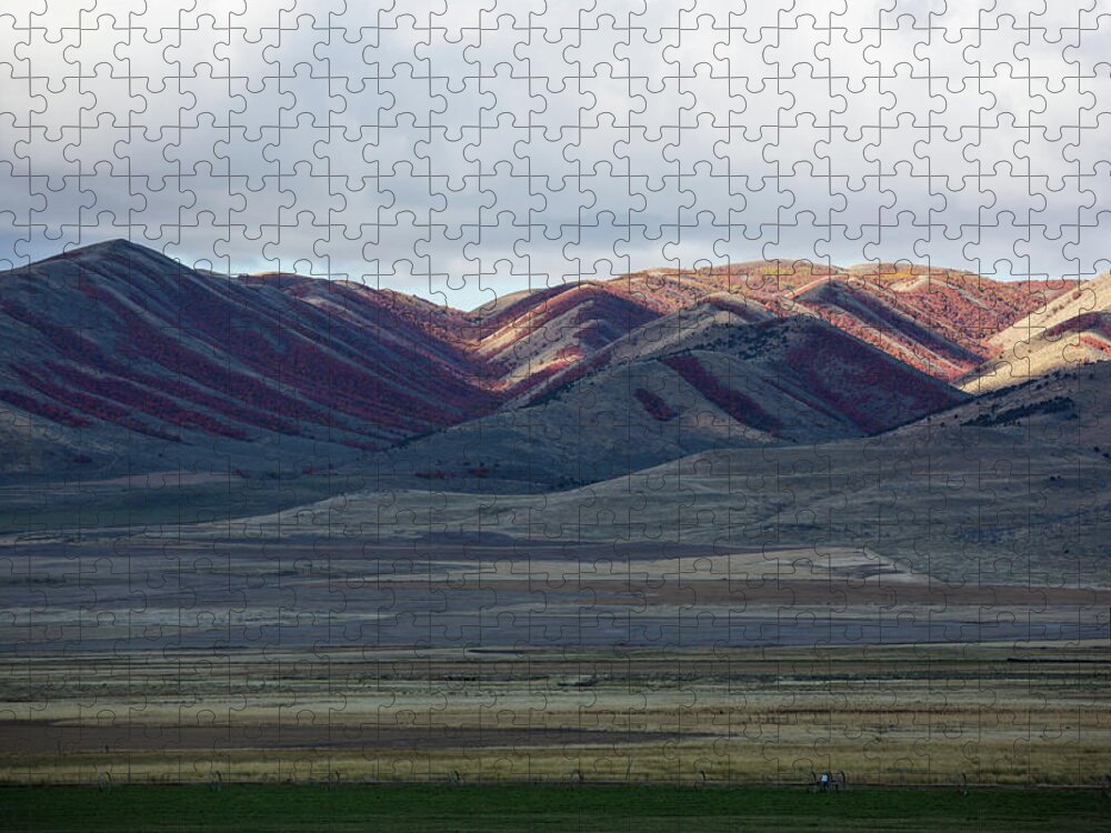 Idaho Jigsaw Puzzle featuring the photograph Idaho Red by Deborah Hughes