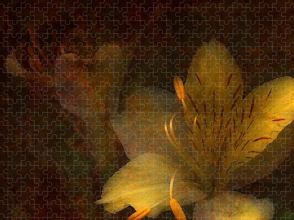 Day Lilies Jigsaw Puzzle featuring the photograph Illumination by Bonnie Bruno