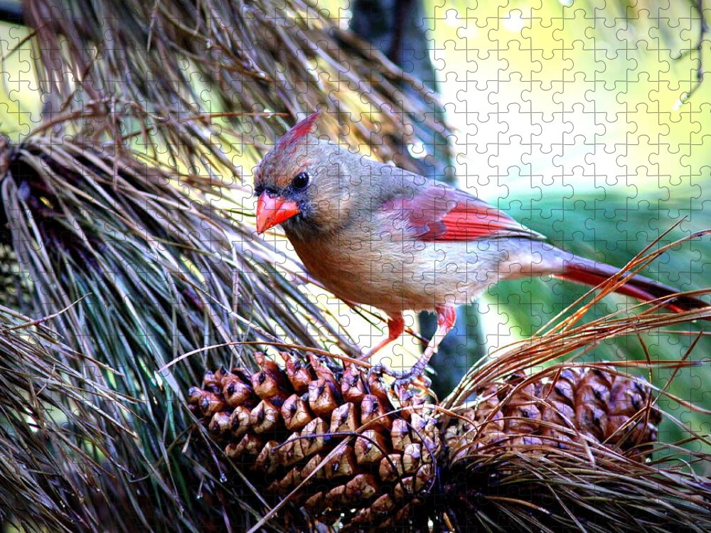  Northern Cardinal Jigsaw Puzzle featuring the photograph IMG_0311 - Northern Cardinal by Travis Truelove