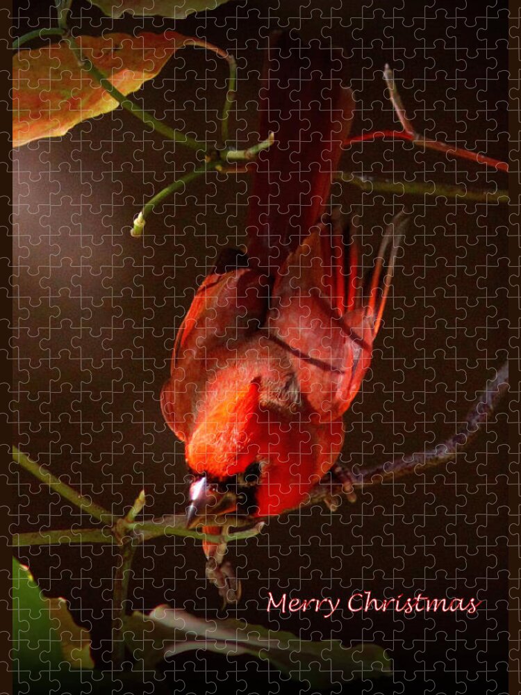 Northern Cardinal Jigsaw Puzzle featuring the photograph IMG_4217-001 - Northern Cardinal Christmas Card by Travis Truelove