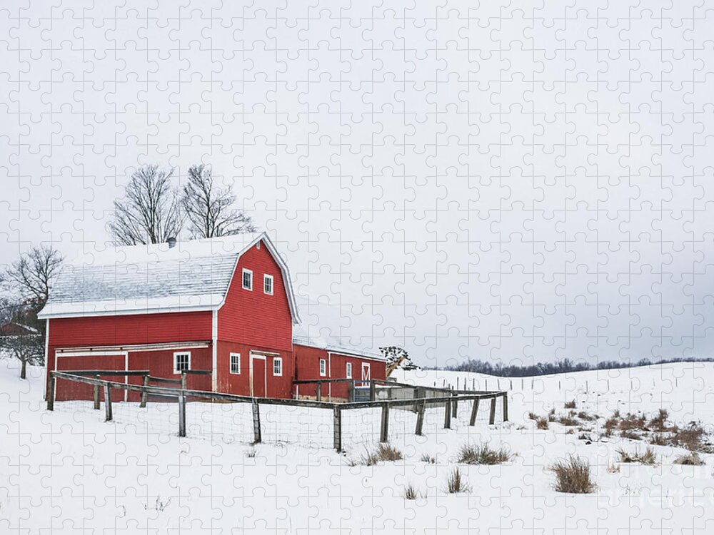 Kremsdorf Jigsaw Puzzle featuring the photograph In A Rural Atmosphere by Evelina Kremsdorf