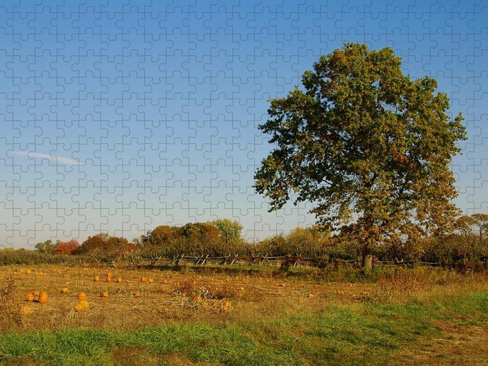 Autumn Jigsaw Puzzle featuring the photograph In The Field - Battlefield Orchards by Angie Tirado
