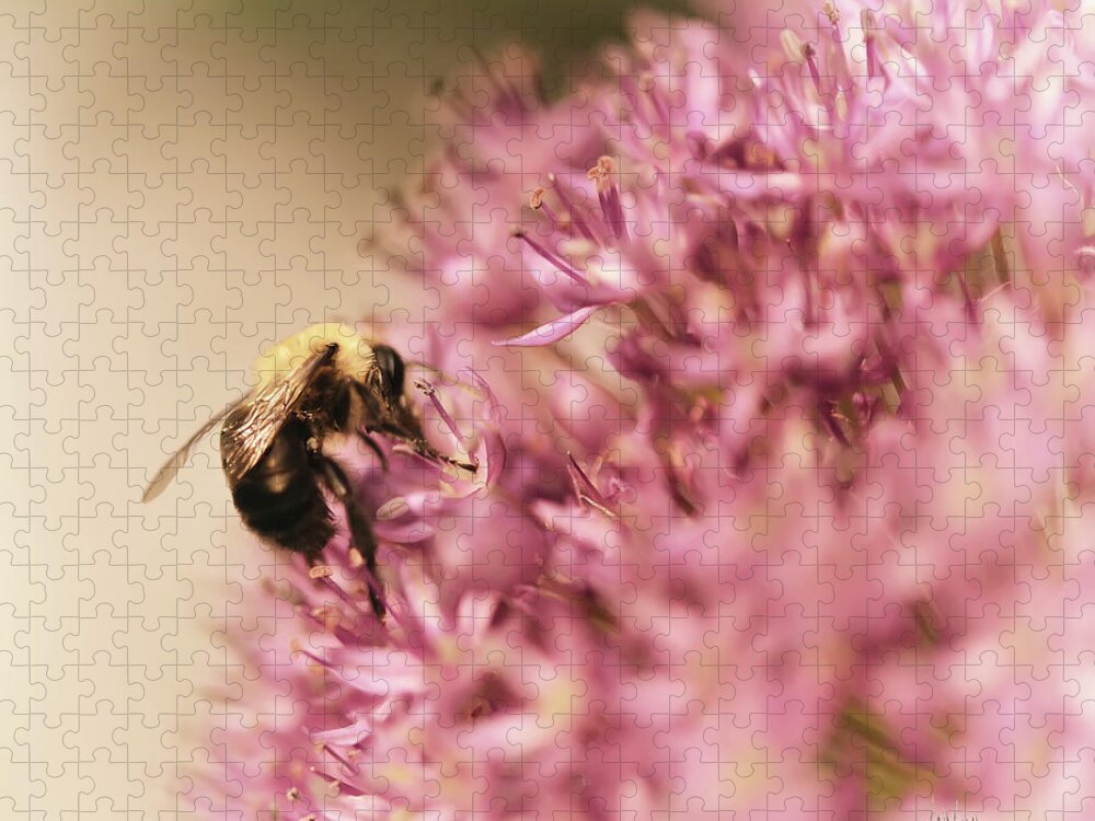 Bee Jigsaw Puzzle featuring the photograph In The Pink by Lois Bryan