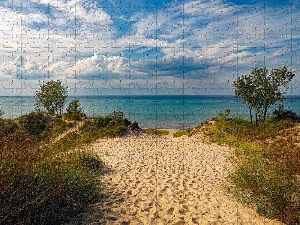 Lake Michigan Jigsaw Puzzle featuring the photograph Indiana Dunes State Park by Mountain Dreams