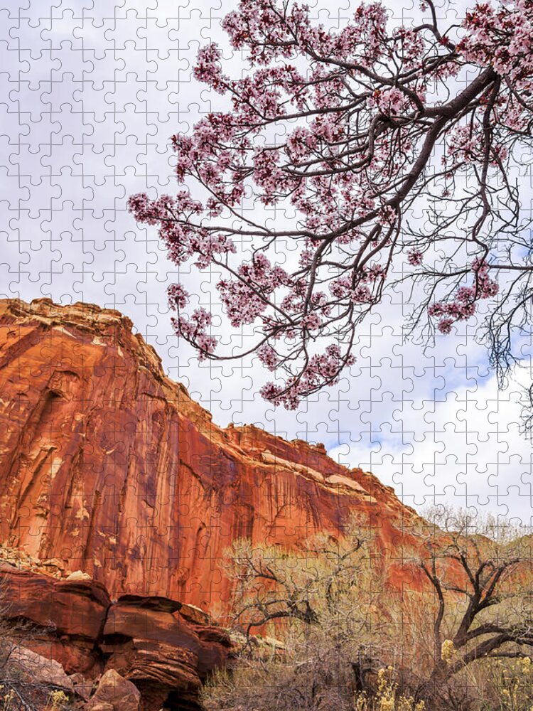 Individually Jigsaw Puzzle featuring the photograph Individually by Chad Dutson