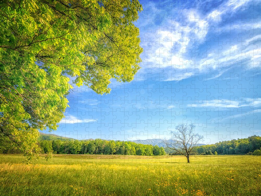 Blue Ridge Mountains Jigsaw Puzzle featuring the photograph Into Walnut Field by Sylvia J Zarco