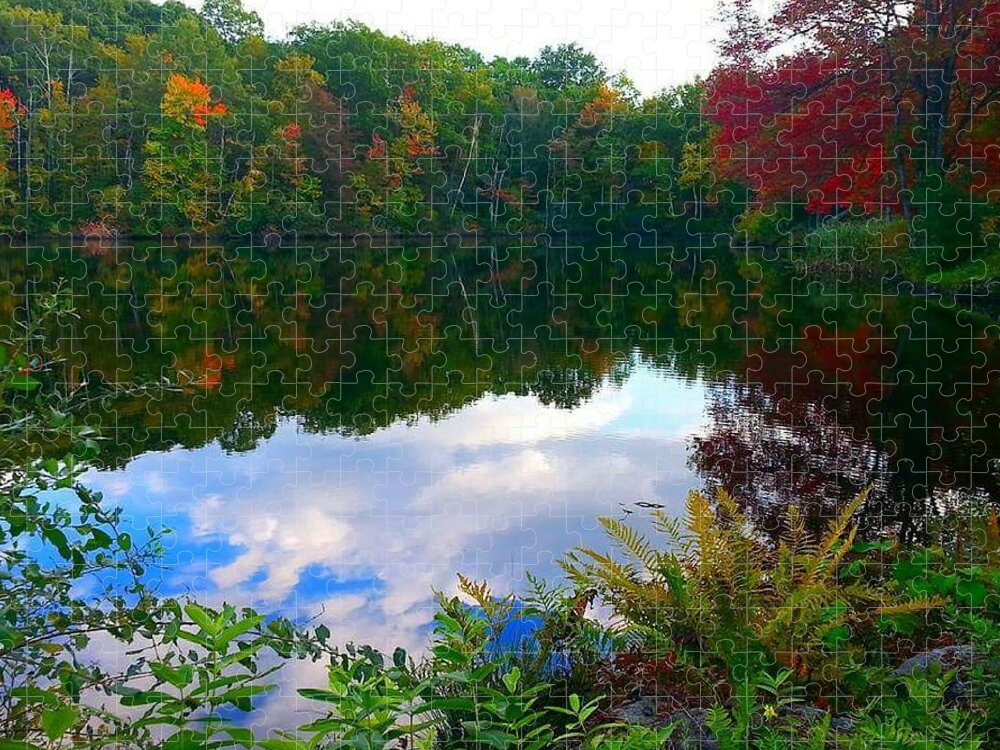 Autumn Jigsaw Puzzle featuring the photograph Introvert by Dani McEvoy