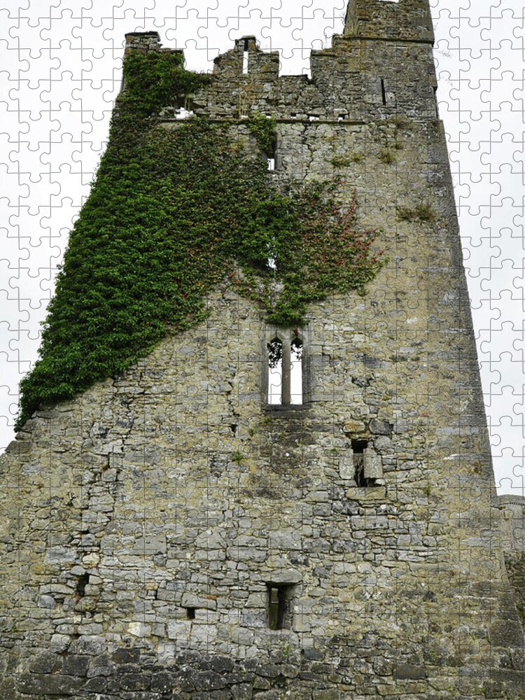 Kells Jigsaw Puzzle featuring the photograph Ireland Kells Priory Ivy Covered Medieval Irish Castle Tower House County Kilkenny by Shawn O'Brien