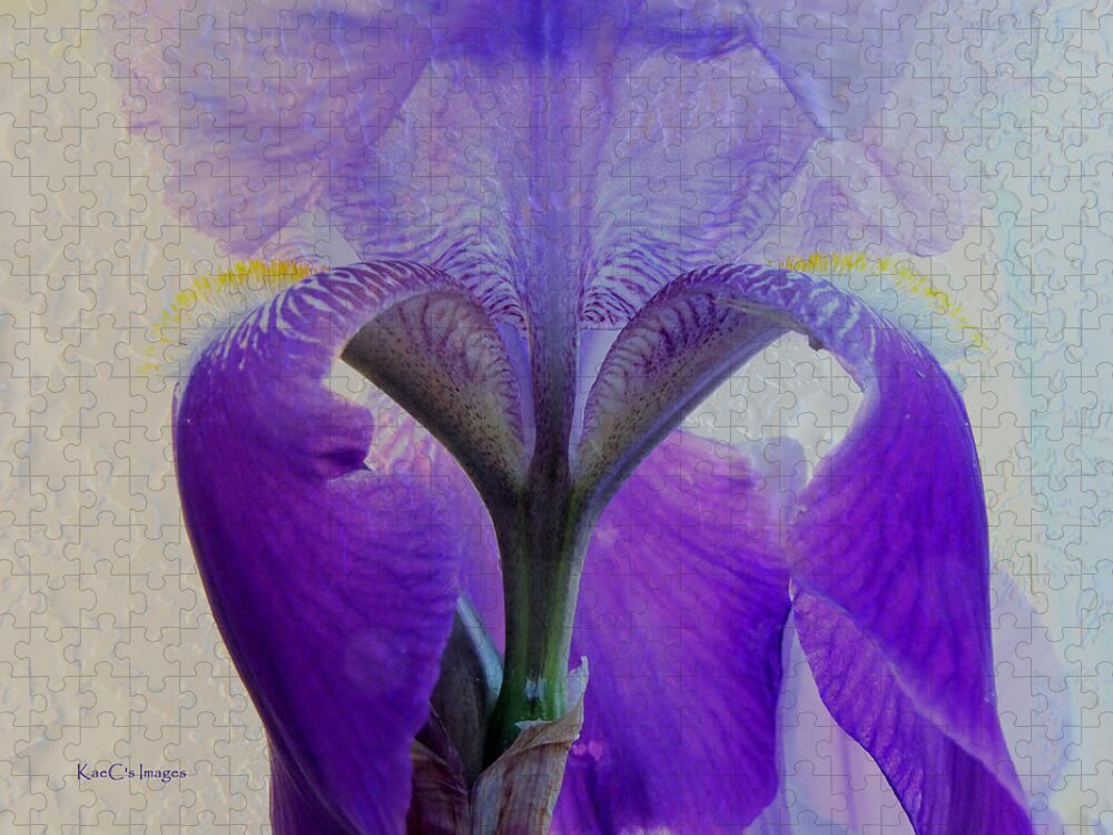 Iris Jigsaw Puzzle featuring the photograph Iris and Ice by Kae Cheatham