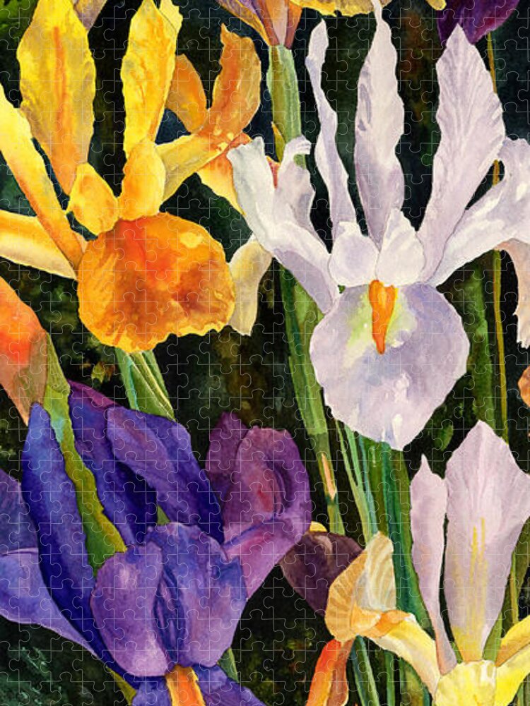 Iris Painting Jigsaw Puzzle featuring the painting Irises in Bloom by Anne Gifford