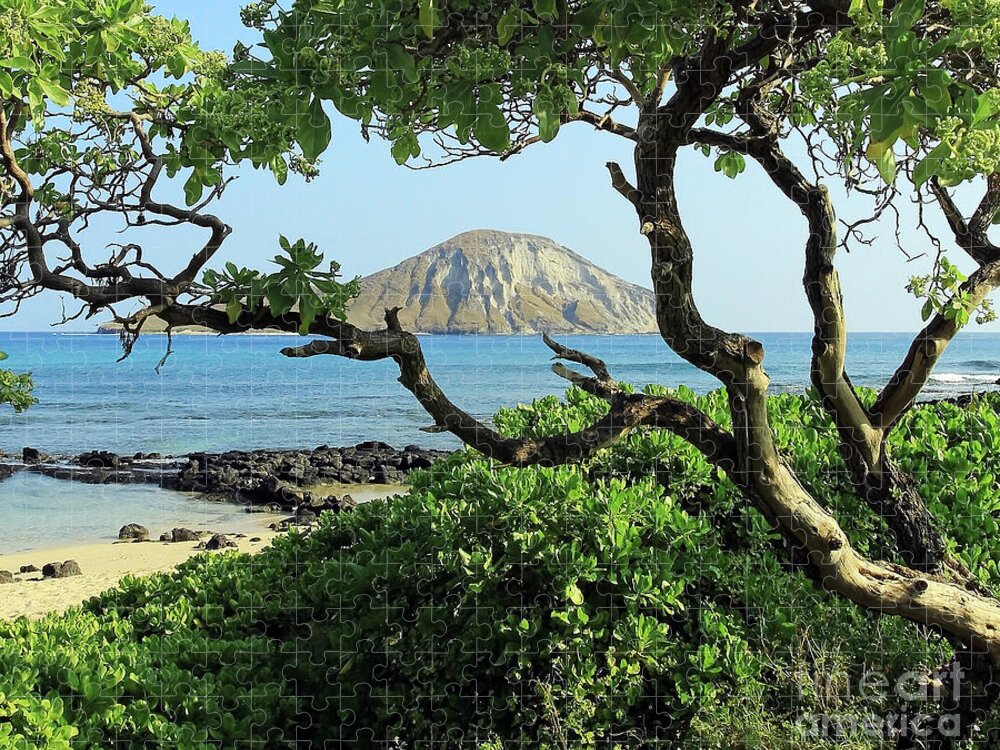 Island Through The Trees Jigsaw Puzzle featuring the photograph Island Through the Trees by Jennifer Robin