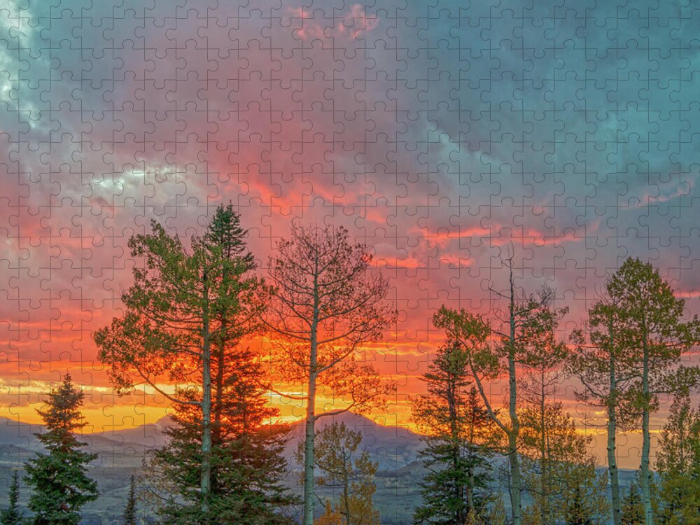 Sunset Jigsaw Puzzle featuring the photograph It Takes A Long Time To Grow Old Friends. Make Sure You Treasure Them. by Bijan Pirnia