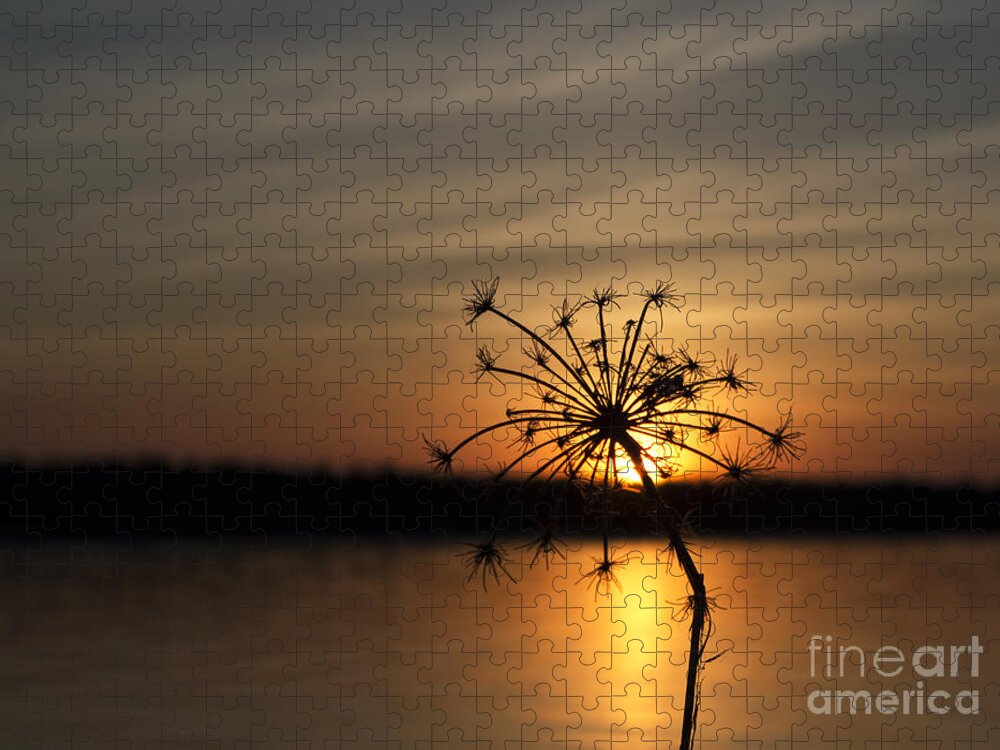 Sunset Jigsaw Puzzle featuring the photograph It's Nature's Way Of Receiving You by Terry Doyle