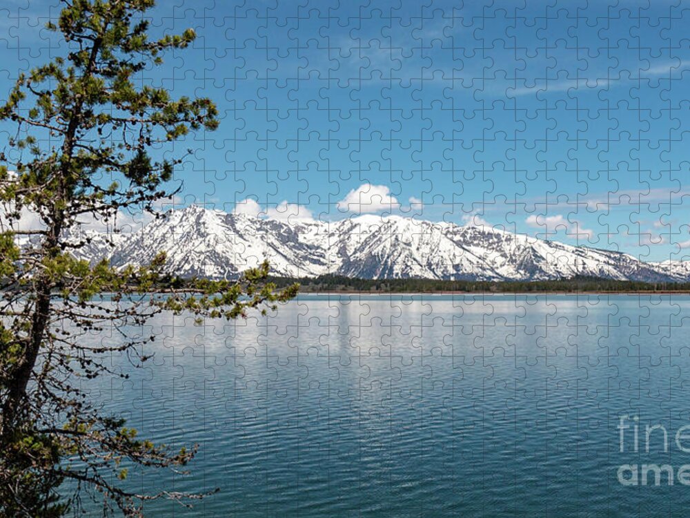 Jackson Lake Jigsaw Puzzle featuring the photograph Jackson Lake 1 by Pam Holdsworth
