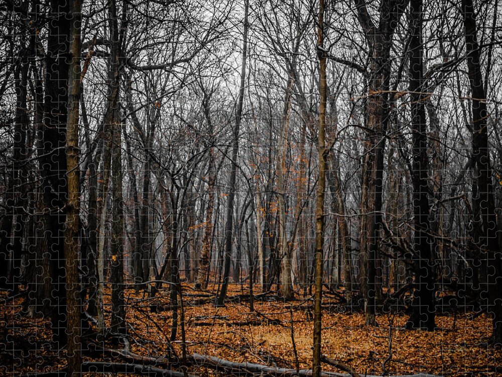 Forest Jigsaw Puzzle featuring the photograph January Forest Rains by Miguel Winterpacht