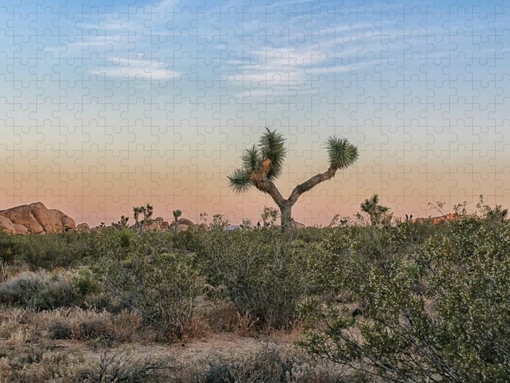 Joshua Tree Jigsaw Puzzle featuring the photograph Joshua Tree Evening by Alison Frank