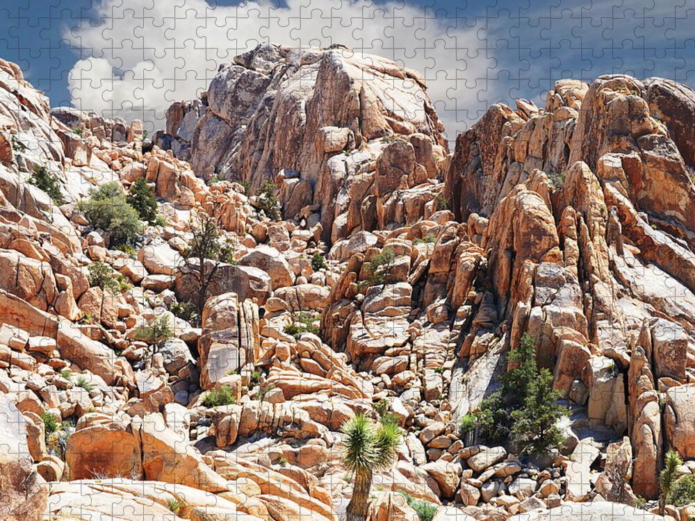 Joshua Tree National Park Jigsaw Puzzle featuring the photograph Joshua Tree National Park - Natural Monument by Glenn McCarthy Art and Photography