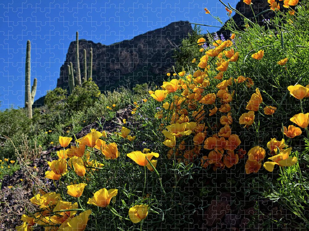 Arizona Jigsaw Puzzle featuring the photograph Just A Little Sunshine by Lucinda Walter