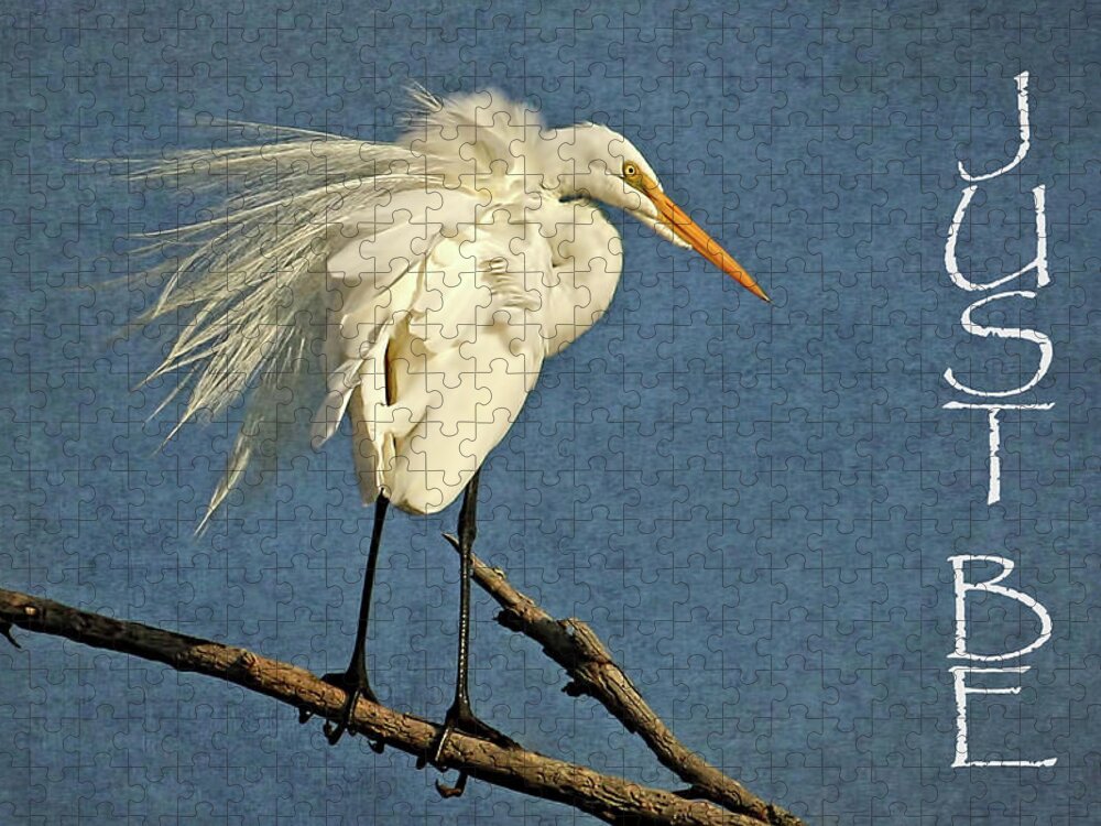 Great Egret Jigsaw Puzzle featuring the photograph Just BE by HH Photography of Florida