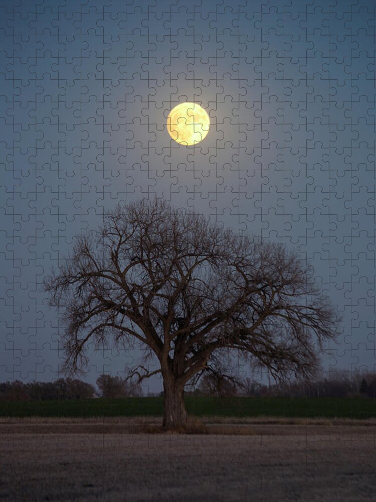 Pearl Jam Jigsaw Puzzle featuring the photograph Just Breathe by Aaron J Groen