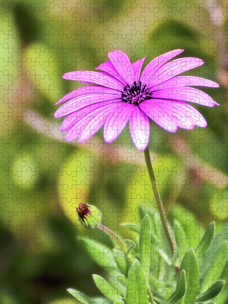 Flower Photography Jigsaw Puzzle featuring the photograph Just nature 0666 by Kevin Chippindall