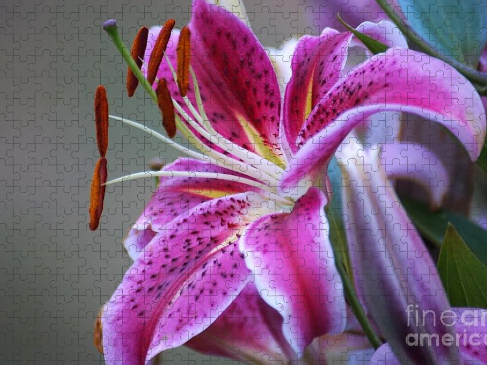 Lilly Jigsaw Puzzle featuring the photograph K and D Lilly 6 by Merle Grenz
