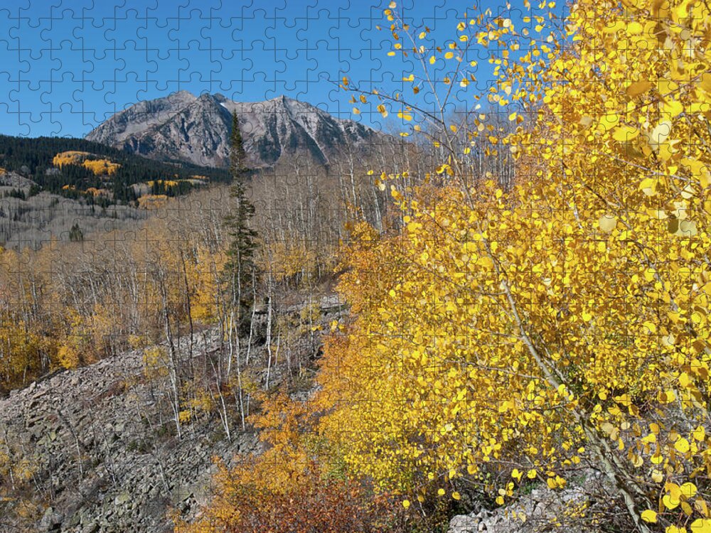 Kebler Pass Jigsaw Puzzle featuring the photograph Kebler Pass Autumn Mountain Landscape by Cascade Colors