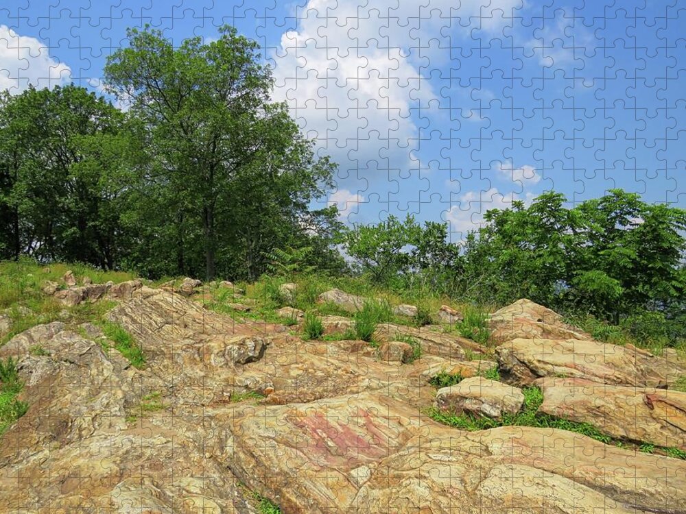 Kennesaw Mountain Jigsaw Puzzle featuring the photograph Kennesaw Mountain Summit by Connor Beekman