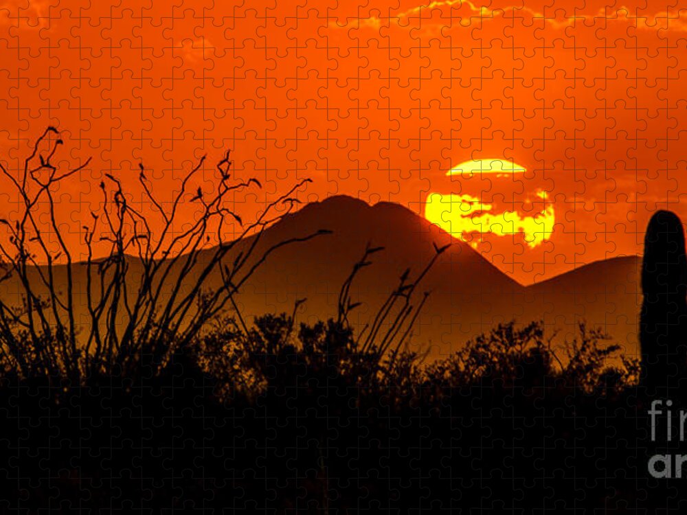 #kofa_nwr #sunset #desert #sonoran #landscape #cactus #nature_lovers #desertmagic #naturelovers #orange #arizona #desert_magazine #viewbug #natgeoyourshot #travel #adventure #serene #desert_calendar #calendar Jigsaw Puzzle featuring the photograph Kofa Sunset by Lisa Manifold