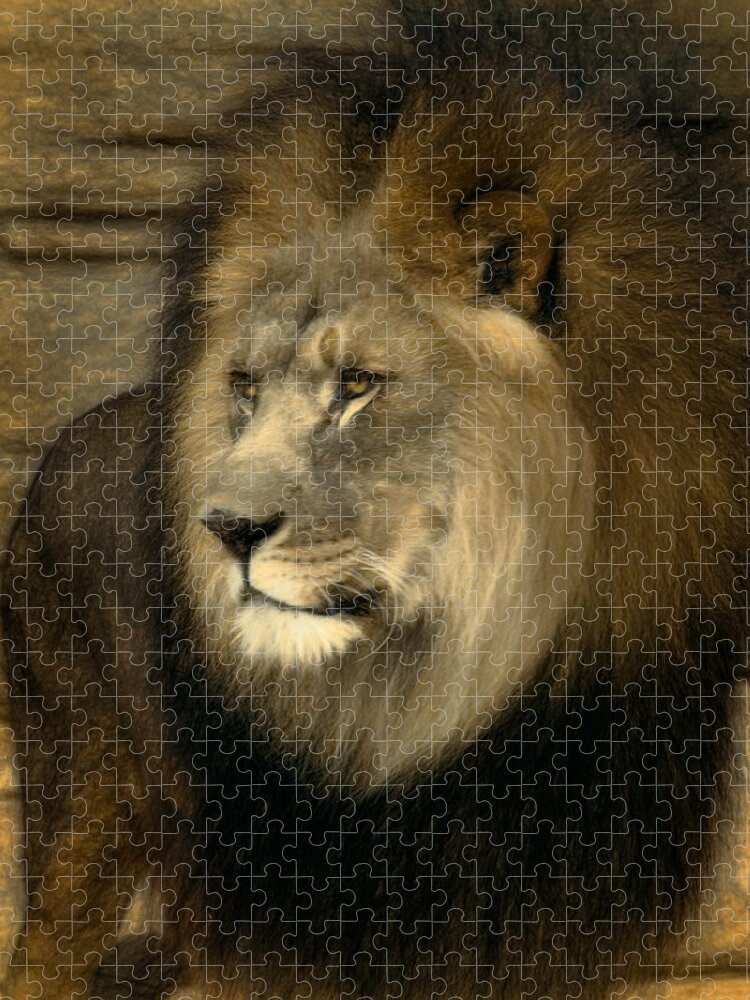 Panthera Leo Jigsaw Puzzle featuring the digital art Kofi by Lana Trussell