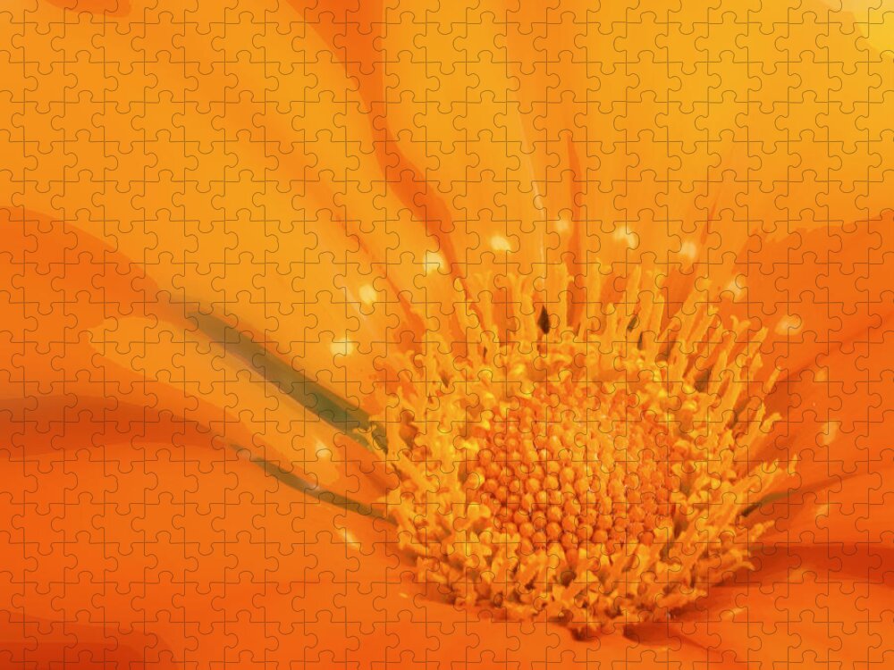 Flower Jigsaw Puzzle featuring the photograph La Fleur D'Orange by Lori Lafargue