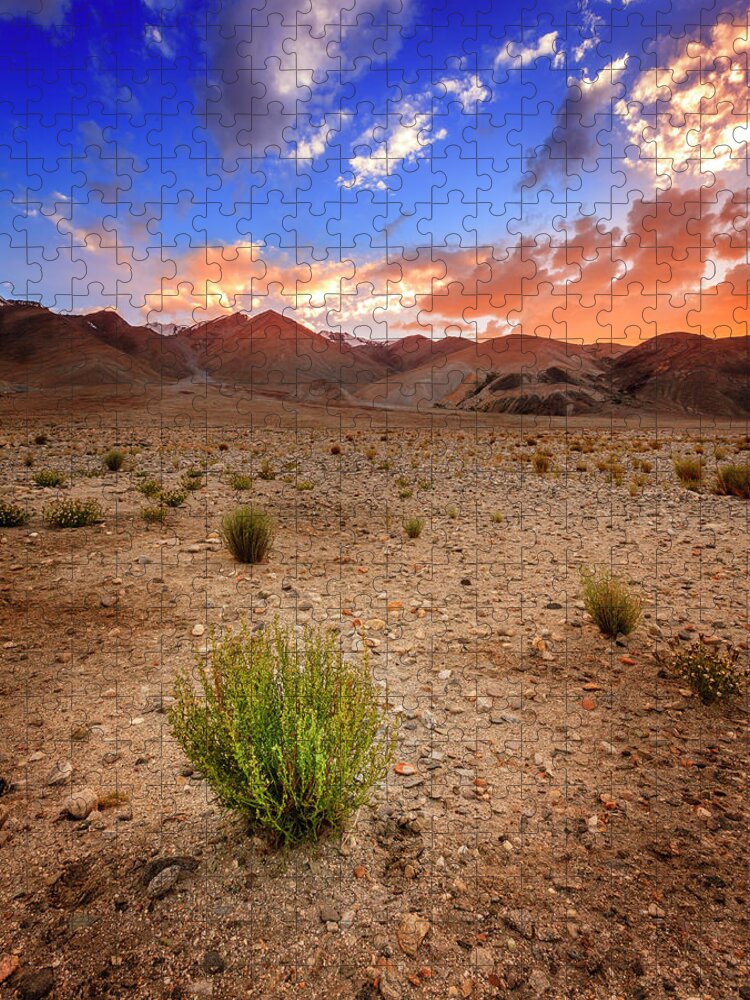 Asia Jigsaw Puzzle featuring the photograph Ladakh landscape by Alexey Stiop