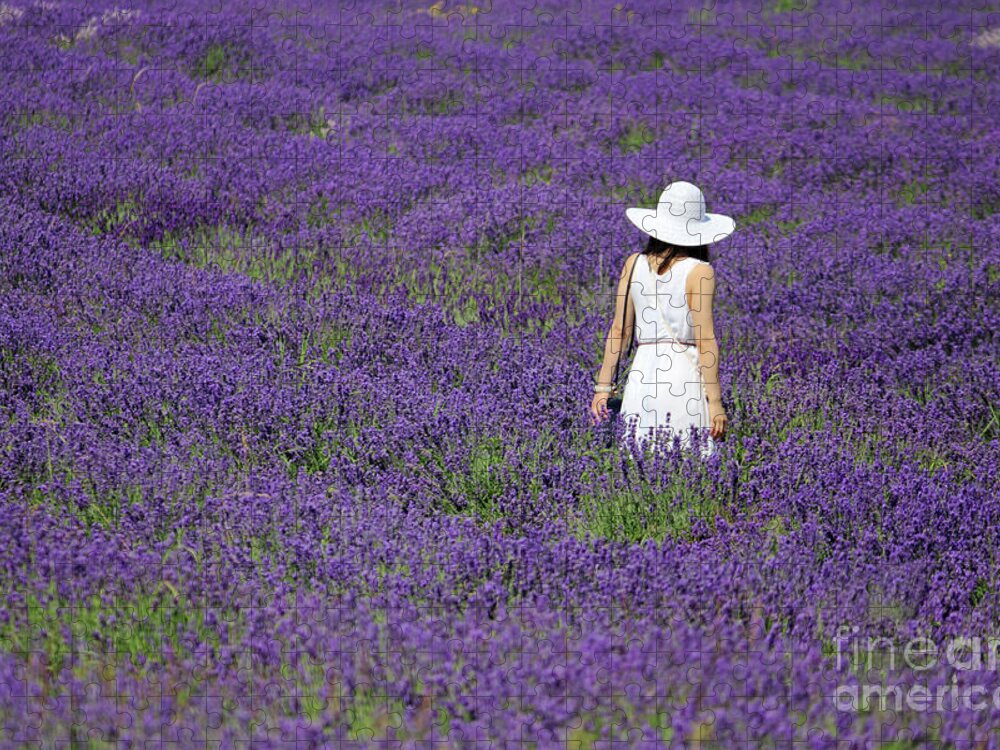 Lady In Lavender Field Jigsaw Puzzle featuring the photograph Lady in Lavender Field by Julia Gavin