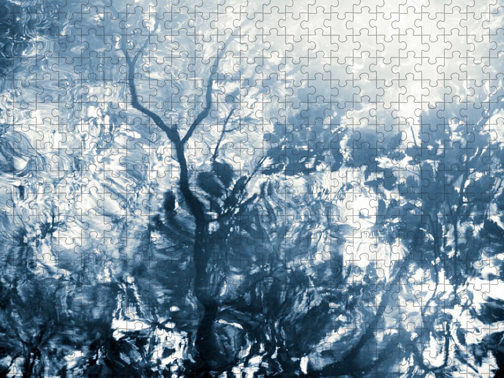 Nature Jigsaw Puzzle featuring the photograph Lago De La Luz by Dorit Fuhg
