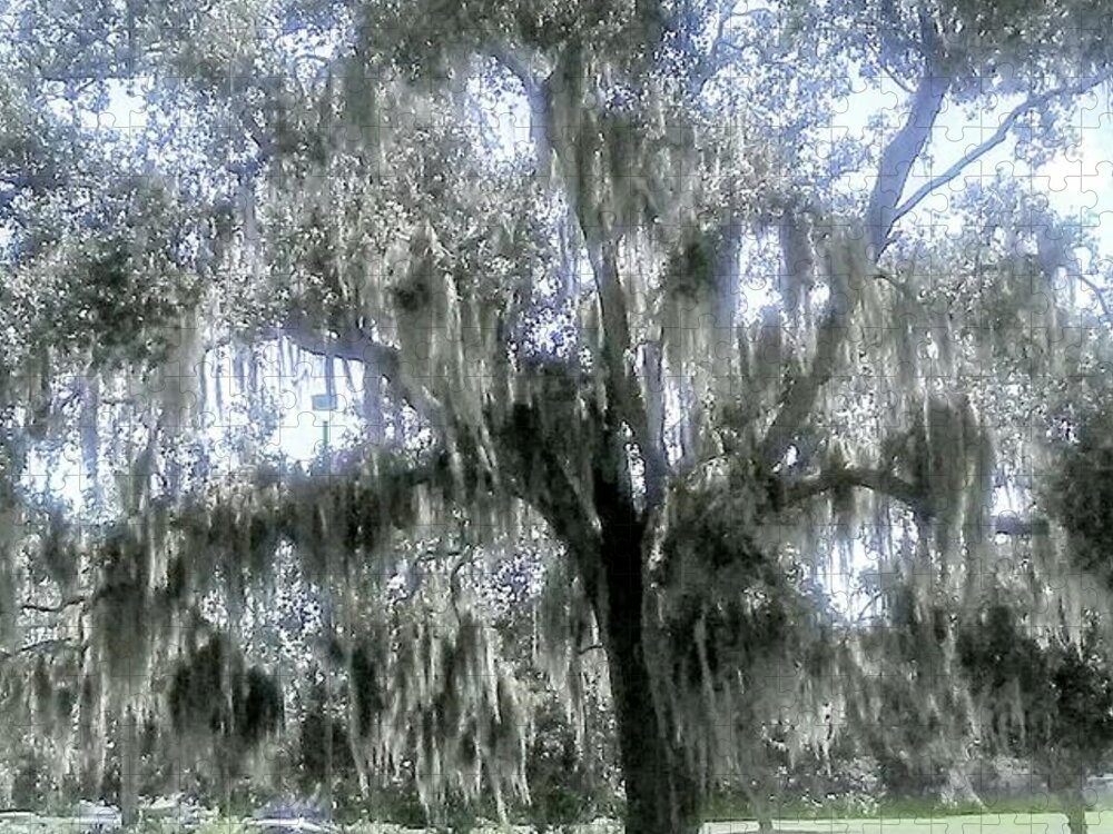 Tree. Florida Jigsaw Puzzle featuring the photograph Largo's Spanish Moss by Suzanne Berthier