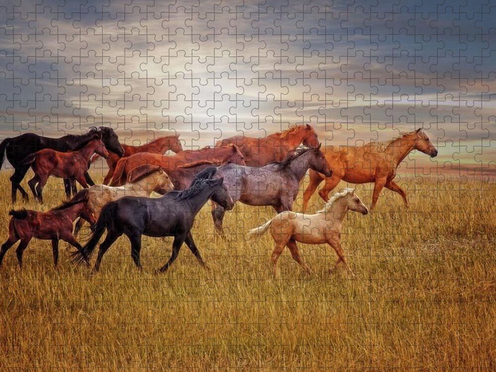 Sunset Jigsaw Puzzle featuring the photograph Last Light's Run by Amanda Smith